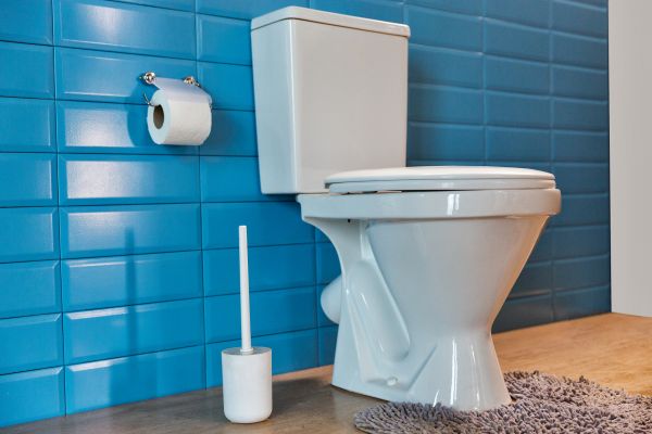 Toilet Tank Repair in Mandeville