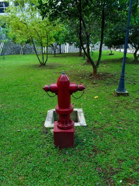 Ground Hydrant Installation in Mandeville