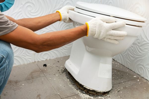 Cost of Toilet Removal in Mandeville